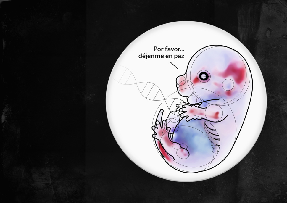 ilustracion feto tilacino clonacion amaya oyon para artimalia