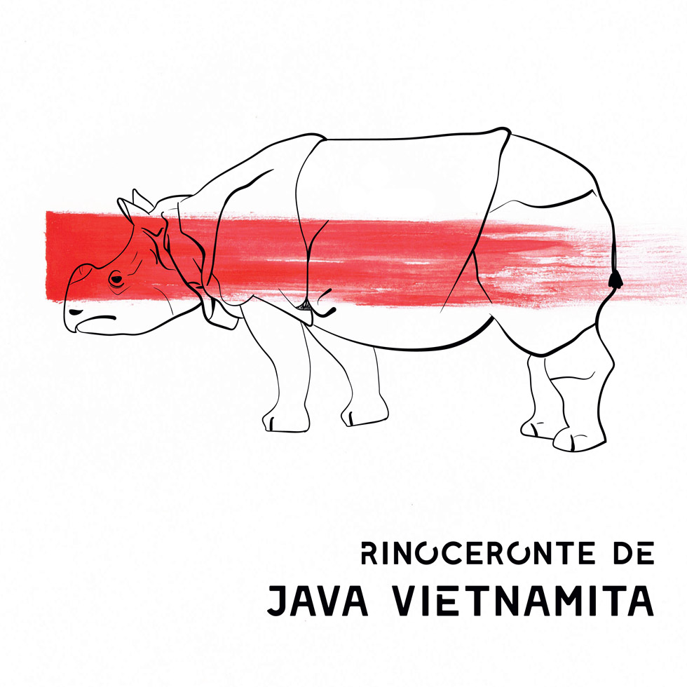 Artimalia: homenaje al rinoceronte de Java vietnamita en colaboracion con el Centro Barreira, Valencia